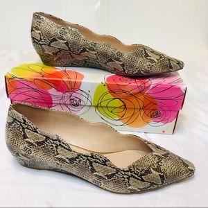 Amelia Grace Norissa Shoes